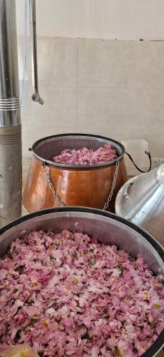 عکس کارگاه تولیدی گلابگیری و عرقیات سنتی خدایار