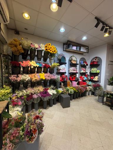 عکس گل مینیاتور