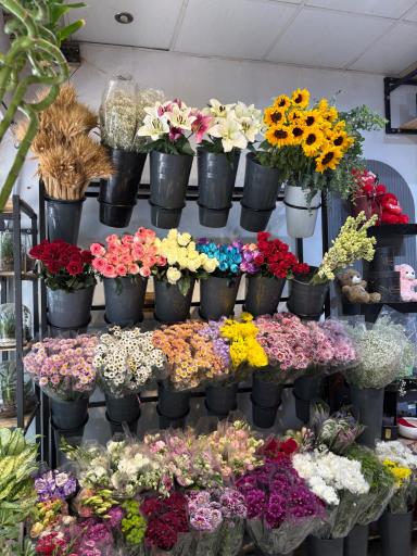 عکس گل مینیاتور