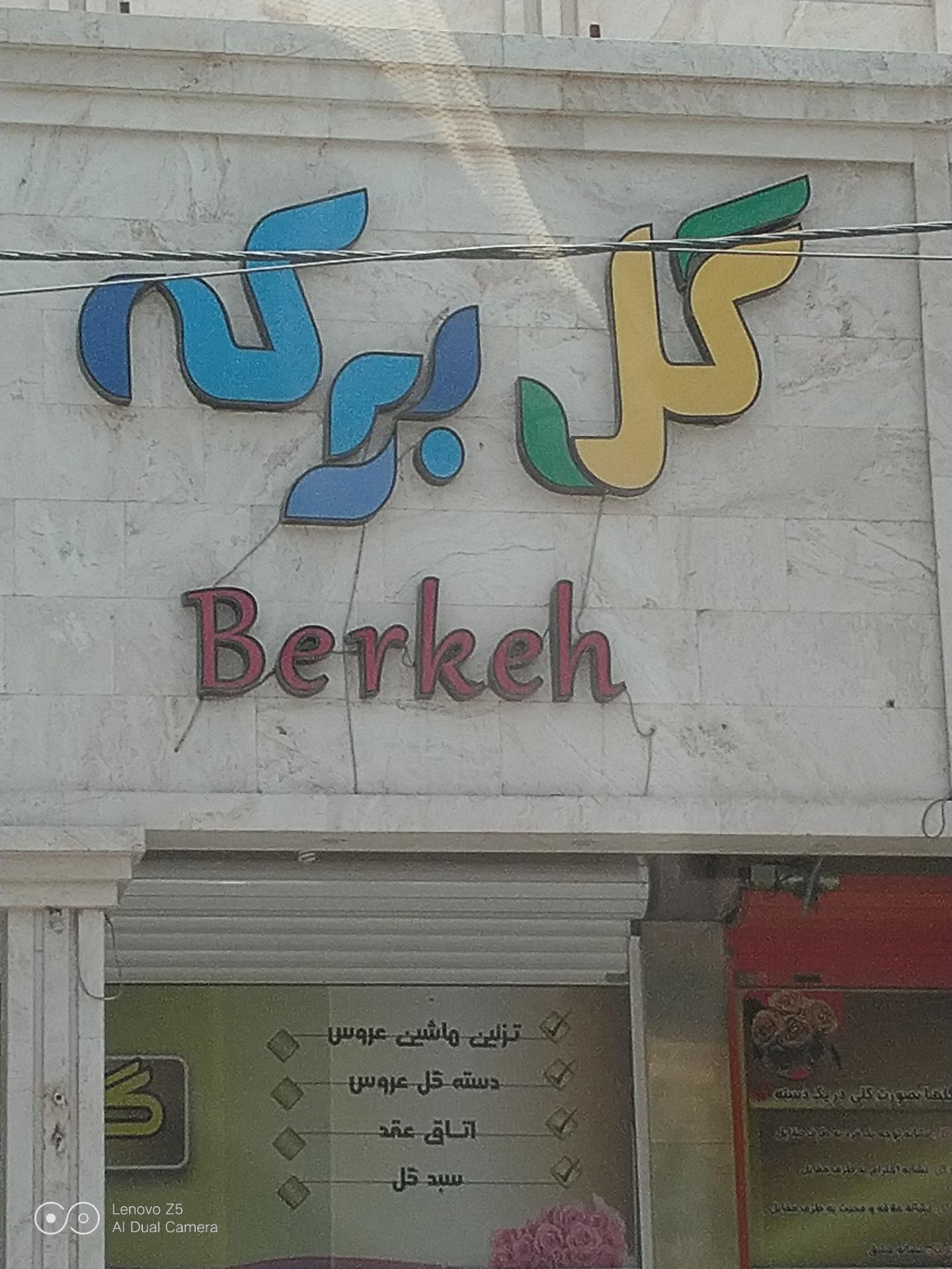 عکس گل برکه