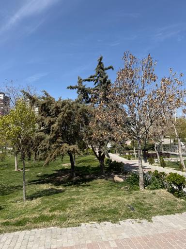 پارک مینیاتوری