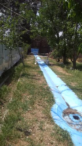 عکس کافه رستوران سنتی بزرگ و باغ طاووس ماه بانو