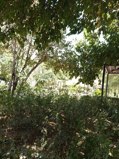 عکس بوستان اتحاد