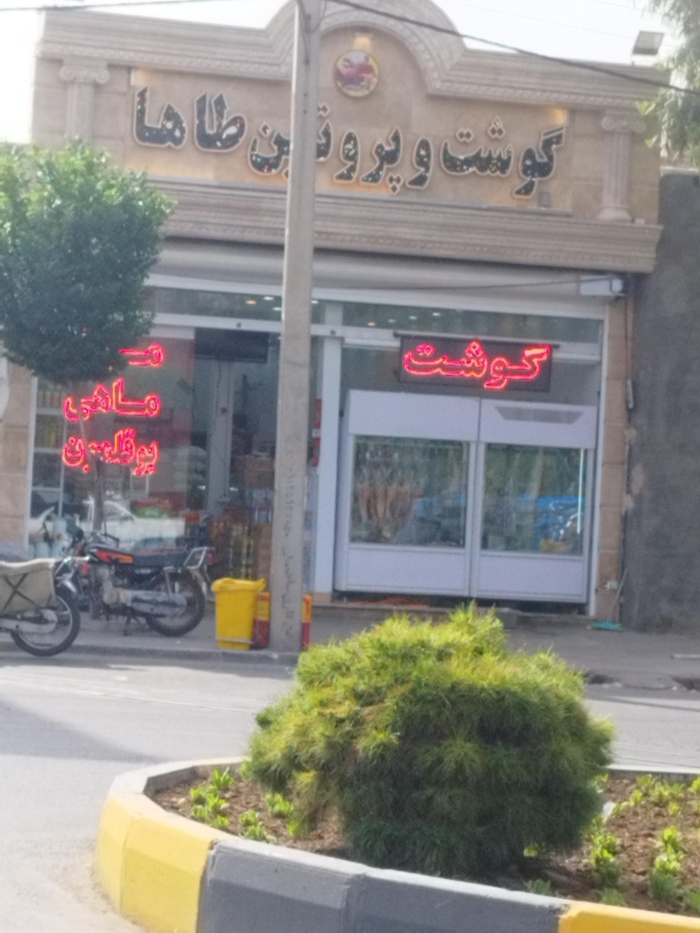 عکس گوشت و پروتئین طاها