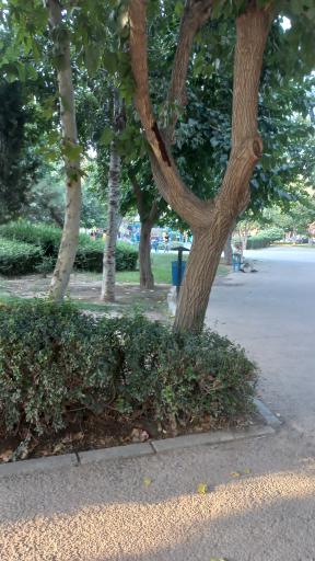 عکس بوستان اتحاد