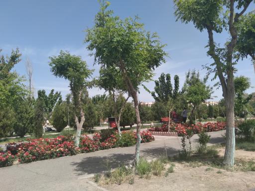 عکس بوستان فدک