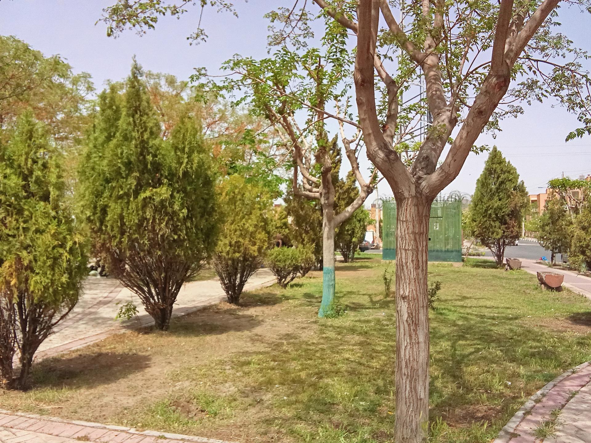 عکس بوستان فدک