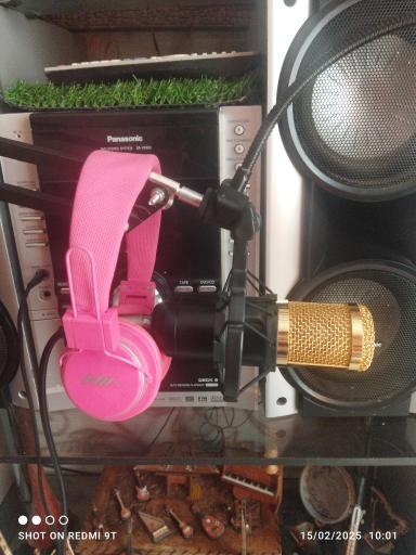 عکس استودیو صدابرداری استاد موسوی