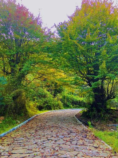 عکس نمک آبرود