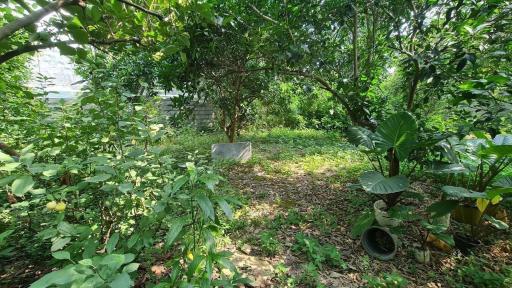 عکس نمک آبرود