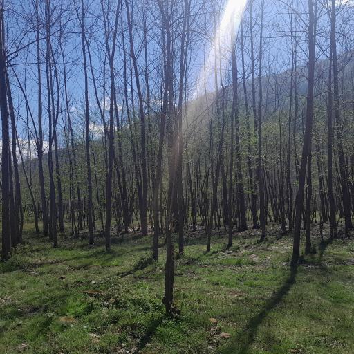 عکس نمک آبرود