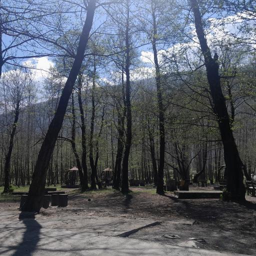 عکس نمک آبرود