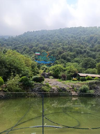 عکس نمک آبرود