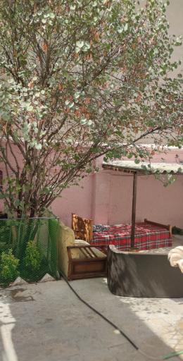 عکس کمپ یاریگران مسیر سلامتی