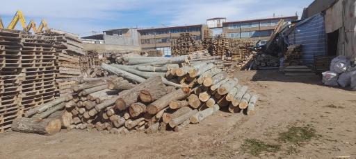 عکس کارگاه پالت چوبی برادران اکبری