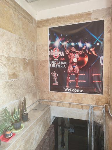 باشگاه بدنسازی آراکس