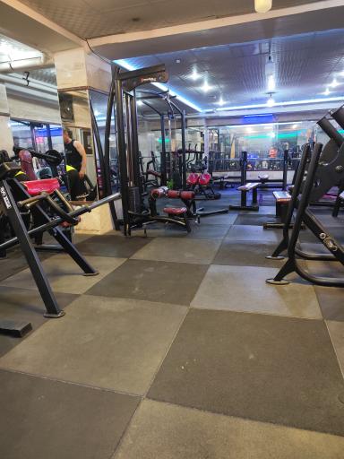 باشگاه بدنسازی آراکس