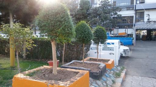 شرکت خودروسازی زامیاد