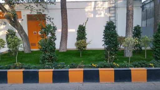 شرکت خودروسازی زامیاد