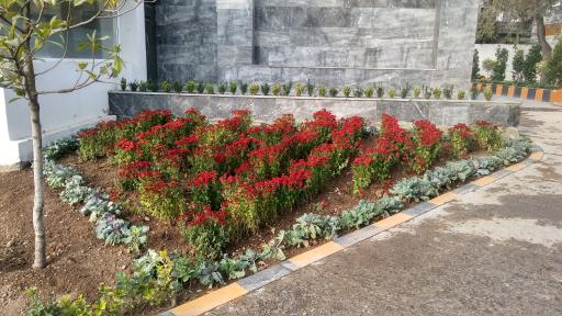 شرکت خودروسازی زامیاد