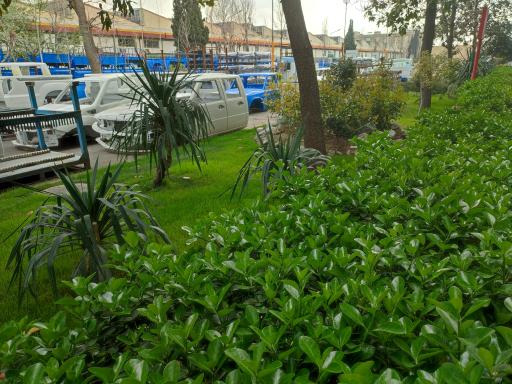 عکس شرکت خودروسازی زامیاد