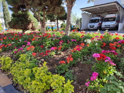 عکس شرکت خودروسازی زامیاد