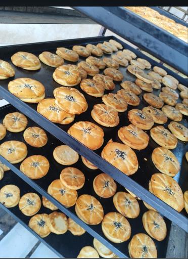 عکس کلوچه پزی ملاشاهی