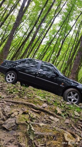 عکس جنگل گیسوم