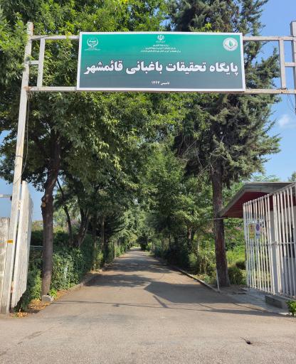 عکس ایستگاه تحقیقات باغبانی قائمشهر