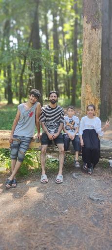 عکس جنگل گیسوم