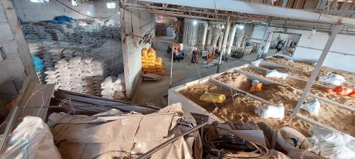 عکس برنج فروشی مکانیزه با دستگاه بوجاری و سورتینگ مصطفی قاسمی