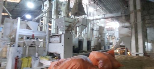 برنج فروشی مکانیزه با دستگاه بوجاری و سورتینگ مصطفی قاسمی