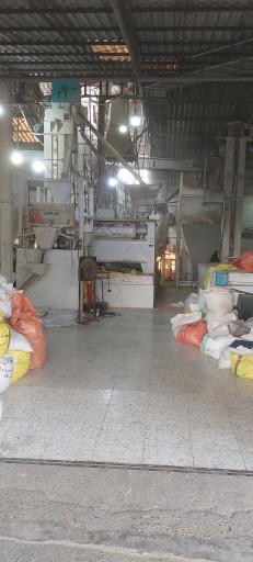 برنج فروشی مکانیزه با دستگاه بوجاری و سورتینگ مصطفی قاسمی