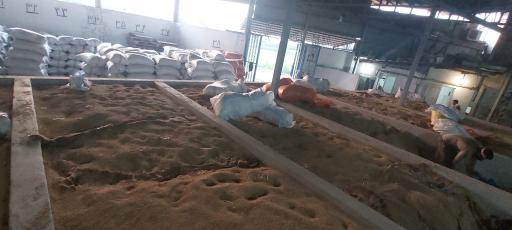 برنج فروشی مکانیزه با دستگاه بوجاری و سورتینگ مصطفی قاسمی