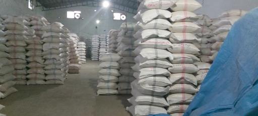 برنج فروشی مکانیزه با دستگاه بوجاری و سورتینگ مصطفی قاسمی