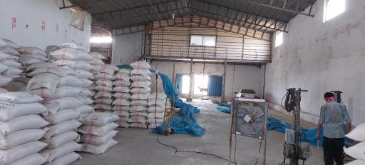 برنج فروشی مکانیزه با دستگاه بوجاری و سورتینگ مصطفی قاسمی