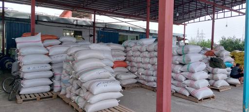 عکس برنج فروشی مکانیزه با دستگاه بوجاری و سورتینگ مصطفی قاسمی