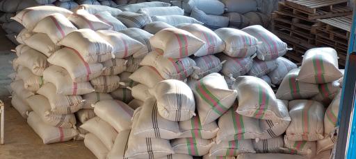 برنج فروشی مکانیزه با دستگاه بوجاری و سورتینگ مصطفی قاسمی