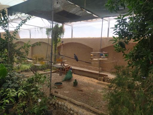 عکس گلخانه و خدمات گیاه پزشکی