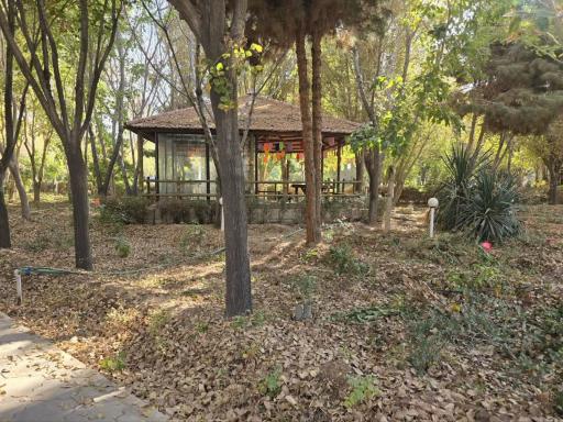 عکس دانشگاه یزد