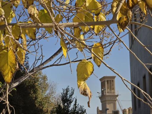 دانشگاه یزد