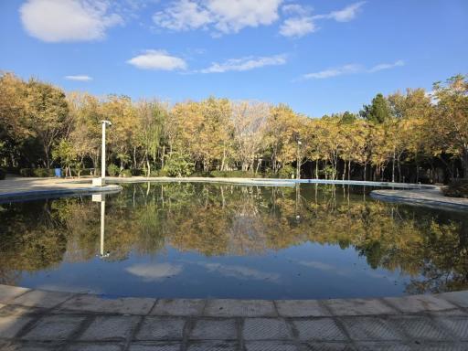 دانشگاه یزد