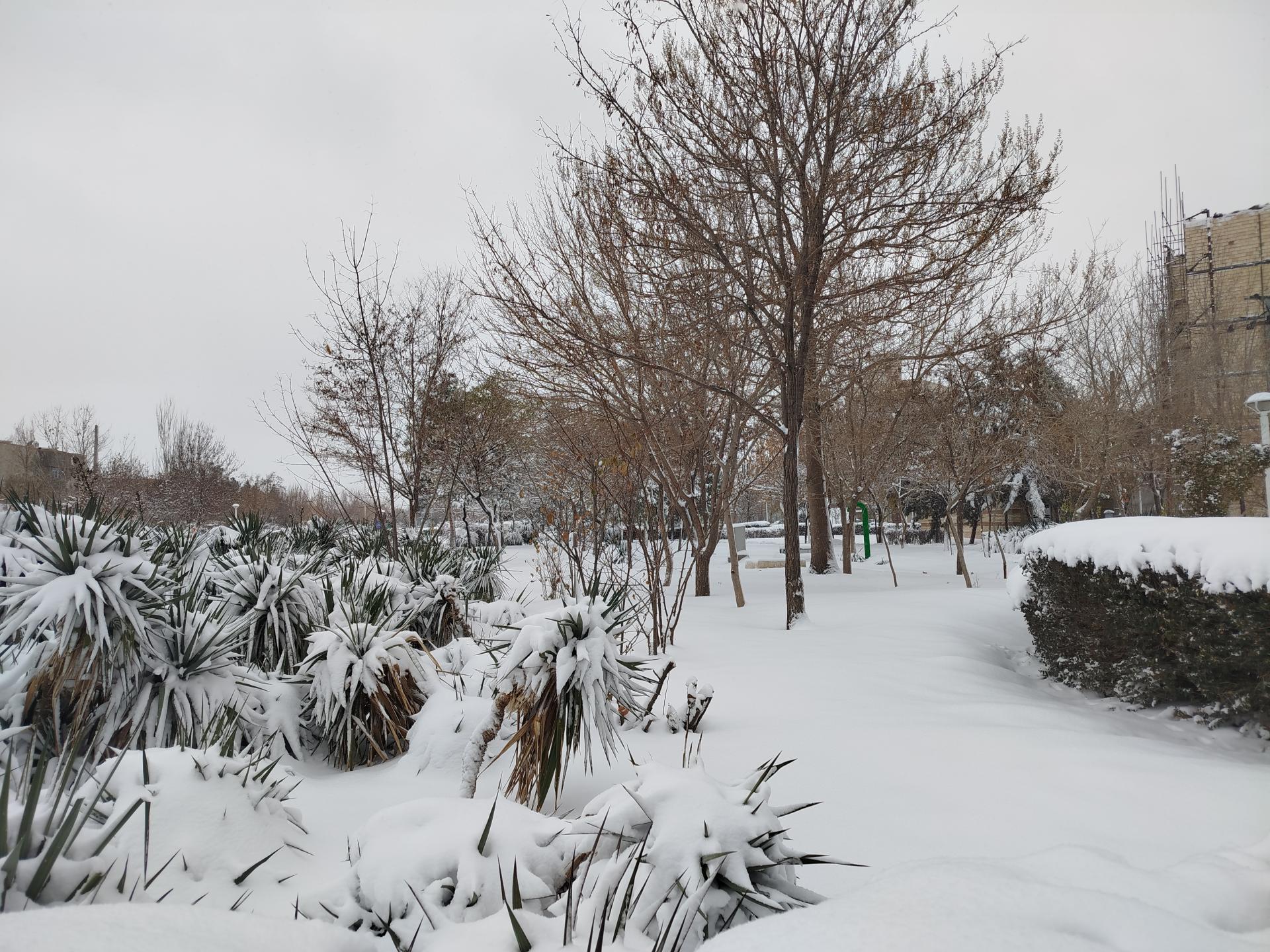 عکس بوستان مهر