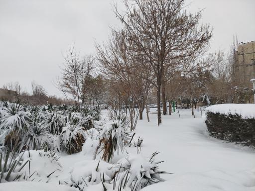 عکس بوستان مهر