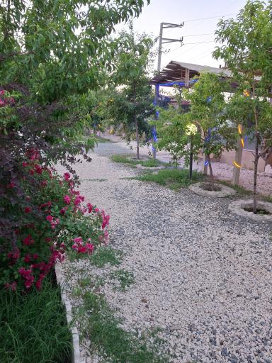 عکس باغ رستوران ارکیده سفید