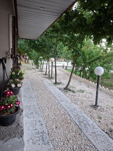 عکس باغ رستوران ارکیده سفید