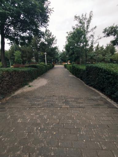 عکس بوستان مهر