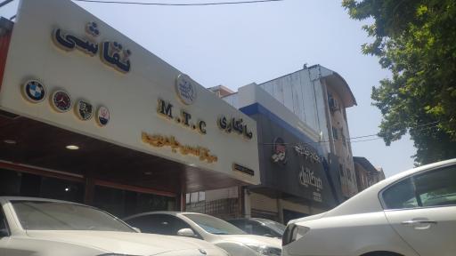 عکس صافکاری تیموریان