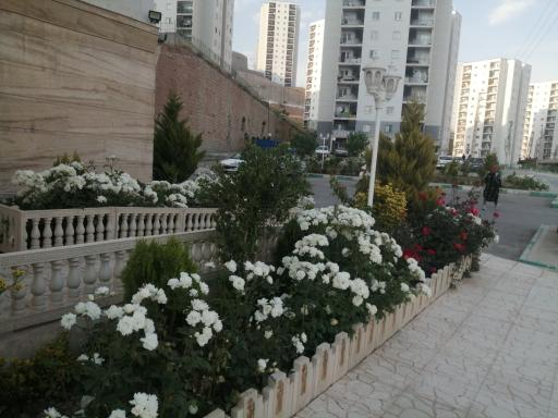 عکس بلوک11 (بلوک ارغوان)