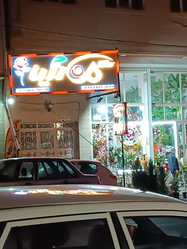 خانه گل نگین